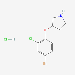 molecular formula C10H12BrCl2NO B1527173 3-(4-Bromo-2-chlorophenoxy)pyrrolidine hydrochloride CAS No. 1220027-56-4