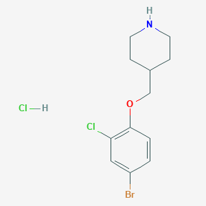 molecular formula C12H16BrCl2NO B1527174 4-[(4-Bromo-2-chlorophenoxy)methyl]piperidine hydrochloride CAS No. 1220033-35-1
