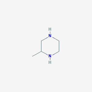 molecular formula C5H12N2 B152721 2-甲基哌嗪 CAS No. 109-07-9