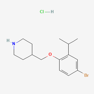 4-[(4-Bromo-2-isopropylphenoxy)methyl]piperidine hydrochloride