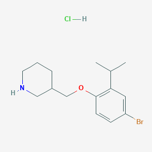 molecular formula C15H23BrClNO B1527390 3-[(4-Bromo-2-isopropylphenoxy)methyl]piperidine hydrochloride CAS No. 1220021-03-3