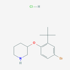 molecular formula C15H23BrClNO B1527397 3-[4-Bromo-2-(tert-butyl)phenoxy]piperidine hydrochloride CAS No. 1220018-83-6