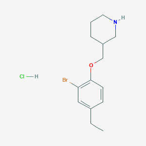 3-[(2-Bromo-4-ethylphenoxy)methyl]piperidine hydrochloride