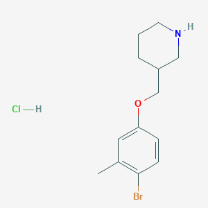 molecular formula C13H19BrClNO B1527400 3-[(4-Bromo-3-methylphenoxy)methyl]piperidine hydrochloride CAS No. 1220027-03-1