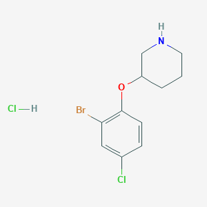 molecular formula C11H14BrCl2NO B1527401 3-(2-Bromo-4-chlorophenoxy)piperidine hydrochloride CAS No. 1220028-89-6
