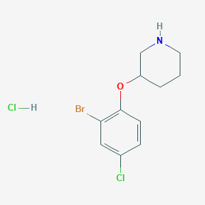 3-(2-Bromo-4-chlorophenoxy)piperidine hydrochloride