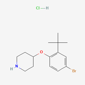 4-[4-Bromo-2-(tert-butyl)phenoxy]piperidine hydrochloride