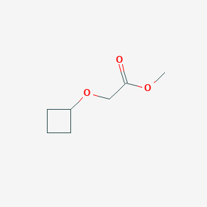 molecular formula C7H12O3 B1527467 Methyl 2-cyclobutoxyacetate CAS No. 1247751-17-2