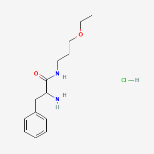 2-Amino-N-(3-ethoxypropyl)-3-phenylpropanamide hydrochloride