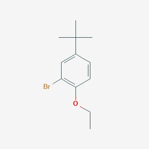 molecular formula C12H17BrO B1527662 2-溴-4-(叔丁基)-1-乙氧基苯 CAS No. 1096679-03-6