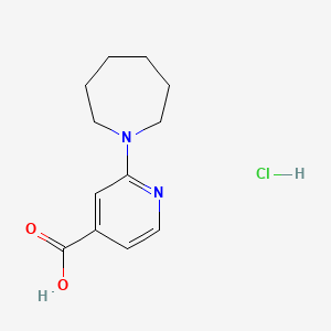 B1527768 2-Azepan-1-YL-isonicotinic acid hydrochloride CAS No. 1187932-74-6