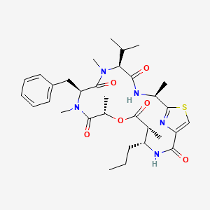 molecular formula C32H45N5O6S B15279102 Ulongamide A CAS No. 452897-96-0