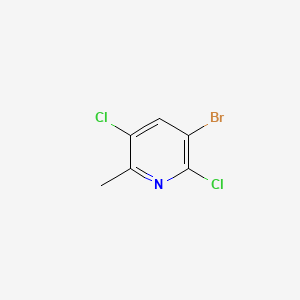 molecular formula C6H4BrCl2N B1528205 3-Bromo-2,5-dichloro-6-methylpyridine CAS No. 1420800-44-7