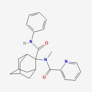 molecular formula C24H27N3O2 B15283157 N-[2-(anilinocarbonyl)-2-adamantyl]-N-methyl-2-pyridinecarboxamide 