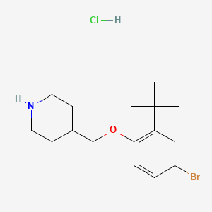 4-Bromo-2-(tert-butyl)phenyl 4-piperidinylmethyl ether hydrochloride