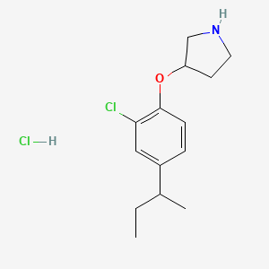molecular formula C14H21Cl2NO B1528866 3-(4-(sec-Butyl)-2-chlorophenoxy)pyrrolidine hydrochloride CAS No. 1220027-48-4