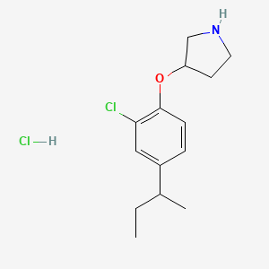 3-[4-(sec-Butyl)-2-chlorophenoxy]pyrrolidine hydrochloride