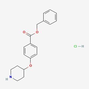 Benzyl 4-(4-piperidinyloxy)benzoate hydrochloride