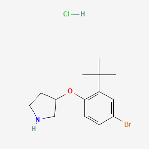 3-[4-Bromo-2-(tert-butyl)phenoxy]pyrrolidine hydrochloride
