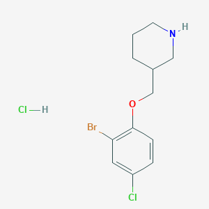 3-[(2-Bromo-4-chlorophenoxy)methyl]piperidine hydrochloride