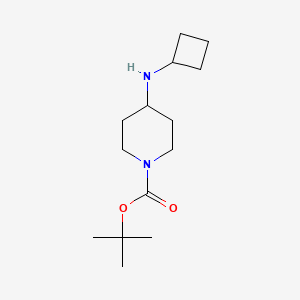 Tert-butyl 4-(cyclobutylamino)piperidine-1-carboxylate