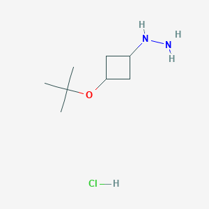 molecular formula C8H19ClN2O B1529054 [3-(Tert-butoxy)cyclobutyl]hydrazine hydrochloride CAS No. 1803560-91-9