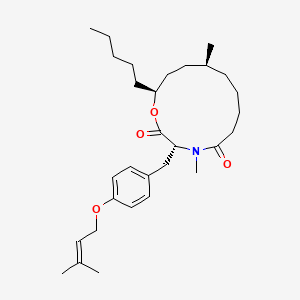 molecular formula C30H47NO4 B15290552 (+)Melearoride A 