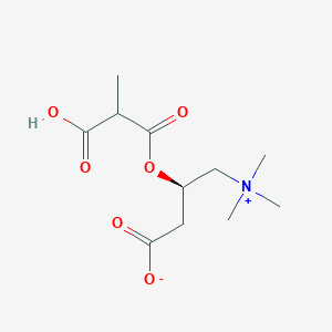 molecular formula C11H19NO6 B15290668 O-methylmalonyl-L-carnitine 
