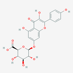 molecular formula C21H18O12 B15290955 Kaempferol 7-glucuronide 