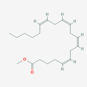 molecular formula C21H34O2 B152956 Methyl arachidonate CAS No. 2566-89-4