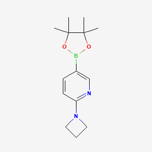 molecular formula C14H21BN2O2 B1529685 2-(Azetidin-1-yl)-5-(4,4,5,5-tetramethyl-1,3,2-dioxaborolan-2-yl)pyridine CAS No. 1257553-70-0