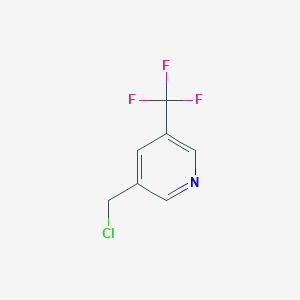 molecular formula C7H5ClF3N B1529703 3-(Chloromethyl)-5-(trifluoromethyl)pyridine CAS No. 1060801-94-6