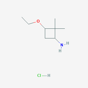 3-Ethoxy-2,2-dimethylcyclobutan-1-amine hydrochloride