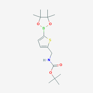 molecular formula C16H26BNO4S B1529767 叔丁基N-[{[5-(四甲基-1,3,2-二氧杂硼环-2-基)噻吩-2-基]甲基}氨基甲酸酯 CAS No. 1266480-56-1