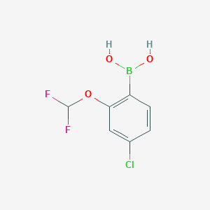 molecular formula C7H6BClF2O3 B15297672 (4-Chloro-2-(difluoromethoxy)phenyl)boronic acid 