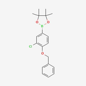 molecular formula C19H22BClO3 B15297925 2-(4-(Benzyloxy)-3-chlorophenyl)-4,4,5,5-tetramethyl-1,3,2-dioxaborolane 