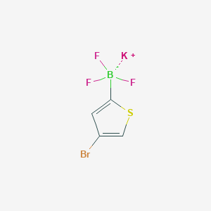 molecular formula C4H2BBrF3KS B15298244 Potassium (4-bromothiophen-2-yl)trifluoroborate 
