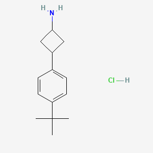 molecular formula C14H22ClN B15299033 Rac-(1r,3r)-3-(4-tert-butylphenyl)cyclobutan-1-aminehydrochloride 