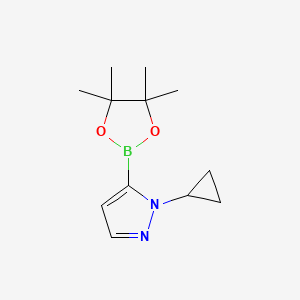 molecular formula C12H19BN2O2 B1529943 1-CYCLOPROPYLPYRAZOLE-5-BORONIC ACID PINACOL ESTER CAS No. 2123477-78-9