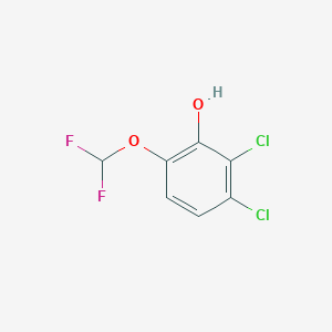 molecular formula C7H4Cl2F2O2 B1530090 2,3-Dichloro-6-(difluoromethoxy)phenol CAS No. 1803717-70-5