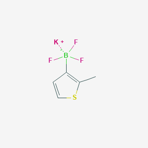 molecular formula C5H5BF3KS B15302229 Potassium trifluoro(2-methylthiophen-3-yl)boranuide 