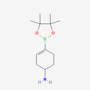 molecular formula C12H22BNO2 B15302883 4-(Tetramethyl-1,3,2-dioxaborolan-2-yl)cyclohex-3-en-1-amine 