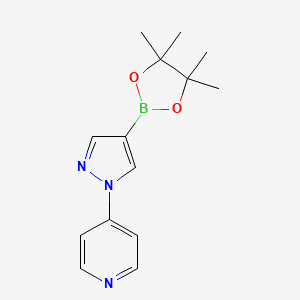 molecular formula C14H18BN3O2 B1530346 4-[4-(tetramethyl-1,3,2-dioxaborolan-2-yl)-1H-pyrazol-1-yl]pyridine CAS No. 1650548-69-8