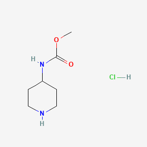 molecular formula C7H15ClN2O2 B1530556 methyl N-(piperidin-4-yl)carbamate hydrochloride CAS No. 955027-84-6