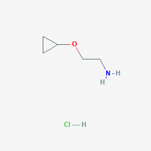 molecular formula C5H12ClNO B1530563 2-环丙氧基乙基胺盐酸盐 CAS No. 1147107-78-5