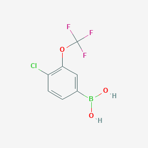 molecular formula C7H5BClF3O3 B1530570 4-Chloro-3-(trifluoromethoxy)phenylboronic acid CAS No. 902757-07-7