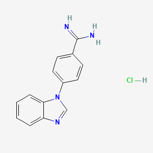 4-(1H-1,3-benzodiazol-1-yl)benzene-1-carboximidamide hydrochloride