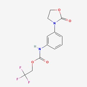 molecular formula C12H11F3N2O4 B1531145 2,2,2-trifluoroethyl N-[3-(2-oxo-1,3-oxazolidin-3-yl)phenyl]carbamate CAS No. 1235438-93-3