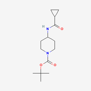 molecular formula C14H24N2O3 B1531153 tert-Butyl 4-(cyclopropanecarbonylamino)piperidine-1-carboxylate CAS No. 1233955-70-8