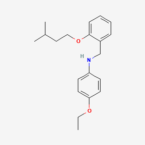 4-Ethoxy-N-[2-(isopentyloxy)benzyl]aniline